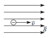 Screenshot 2024-03-14 at 13-50-08 322E20D4B3E7E8EAE020D2E5F1F22031302E30372E3230313820C7EEF8E8F25F312E706466 - Fizyka-Dod_sesiya-ZNO_2018-Zoshyt_1.pdf.png