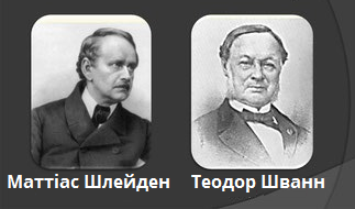 Шлейден Шванн.png