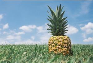 ананас1.jpg
