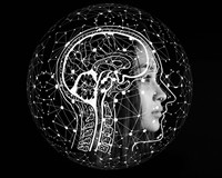 мозок людина.jpg