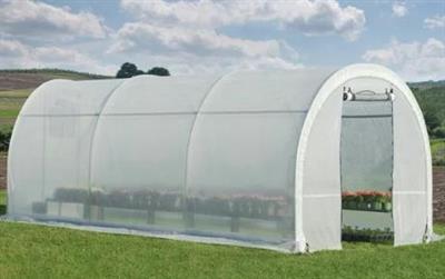 теплиця_поліетилен.jpg