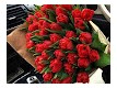 Анастасія Швець