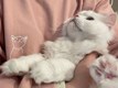 Анна Шевцова 💌
