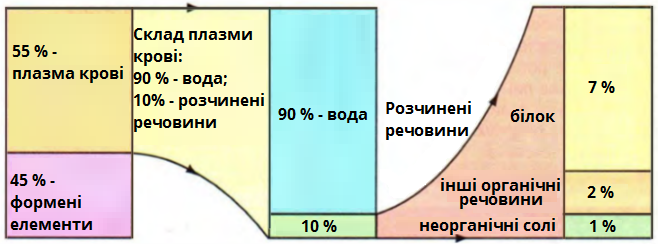 склад крові.png