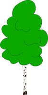 birch-155216_1280.png
