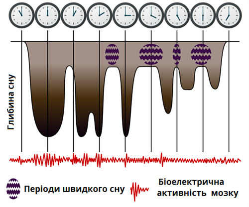 глубина сна.png