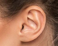 вухо платне канва.jpg