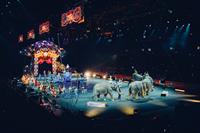 circus-828680_1920.jpg