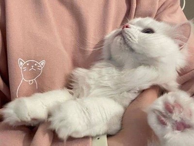 Анна Шевцова 💌