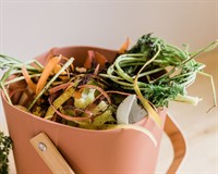 органічні відходи.jpg