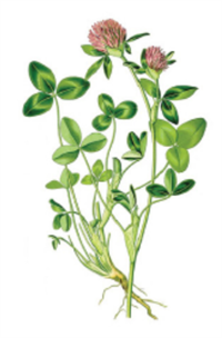 Знімок екрана 2026-04-01 215951.png