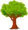 дерево.png