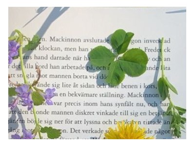 Маргарита Дацюк