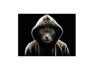 Максим Врочинський