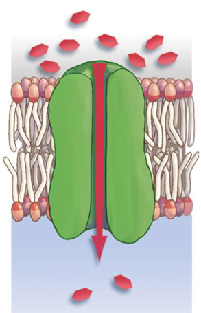 полегшена дифузія1.png
