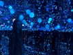 Олександра Дануца