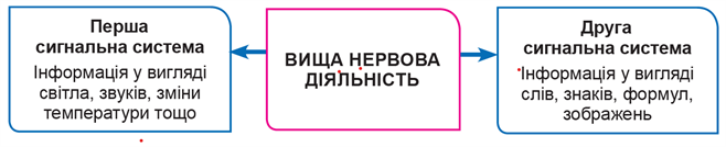 ВНД.png