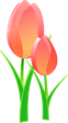 tulips-152832_640.png