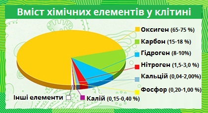 вміст елементів у клітині.jpg